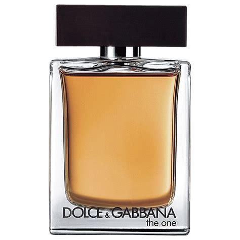 the one dolce gabbana männer